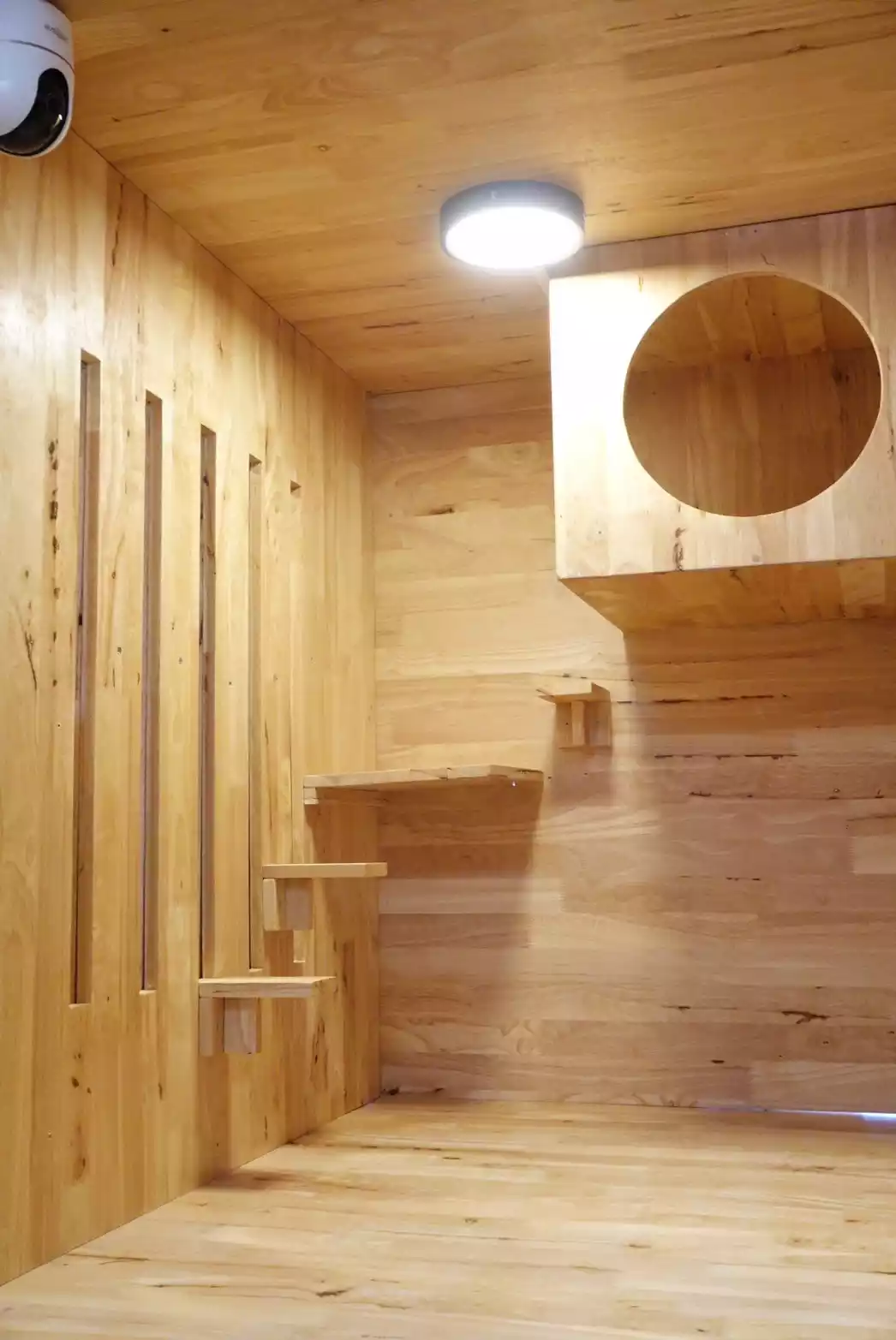 B9D83DF2-CCCD-4CBC-A331-99C56062B1E5