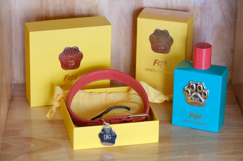 อาบน้ำหมา ชลบุรี 2